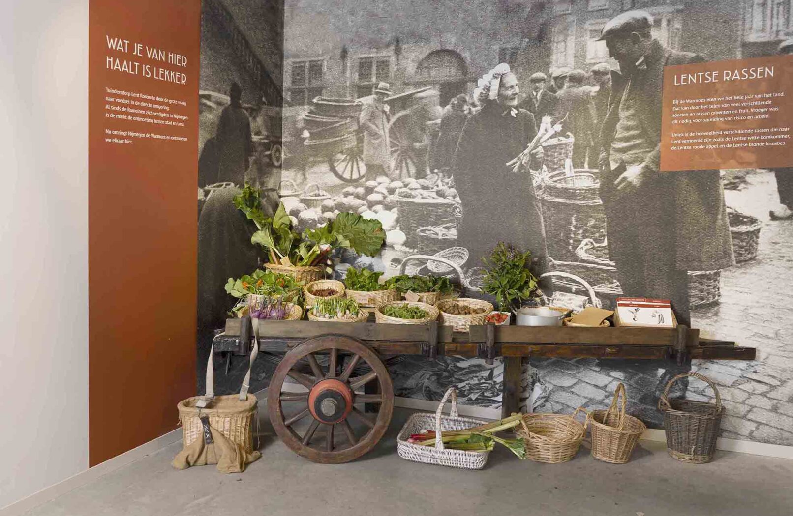 ontwerp en projectleiding Warmoes museum 71 CASA MEDIA